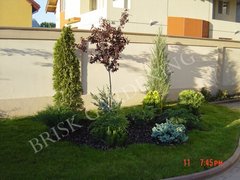 Brisk Gardening - Amenajari si intretineri spatii verzi